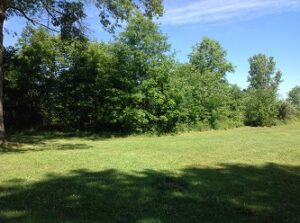 ohio property