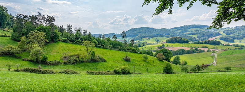 PerfectFit® Series - Find your land