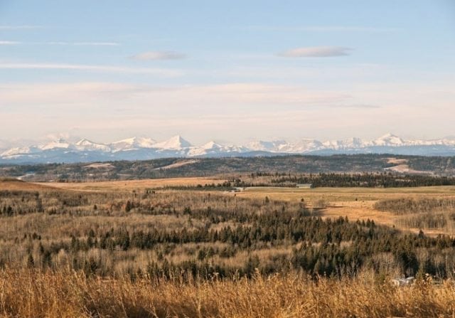 photograph of a building site in canada